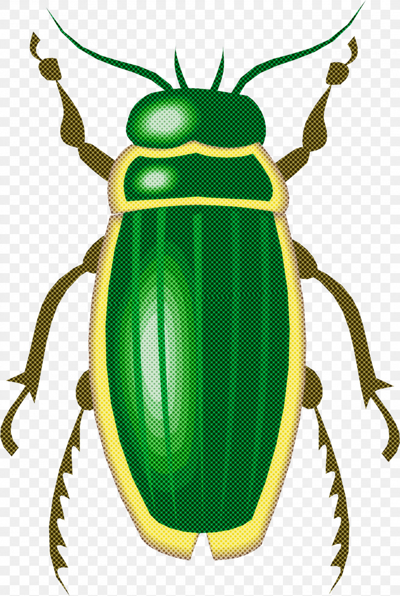 Insect Beetle Cetoniidae Ground Beetle Scarabs, PNG, 2012x2999px, Insect, Beetle, Blister Beetles, Cetoniidae, Ground Beetle Download Free