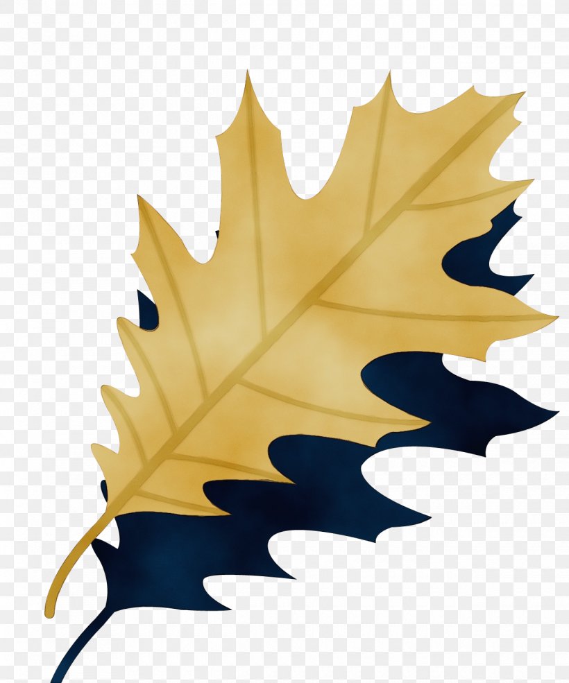 Maple Leaf, PNG, 1240x1491px, Watercolor, Black Maple, Deciduous, Holly, Leaf Download Free