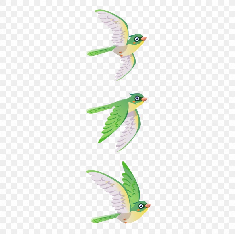 Bird Parrot Green, PNG, 1181x1181px, Bird, Beak, Color, Common Pet Parakeet, Fauna Download Free