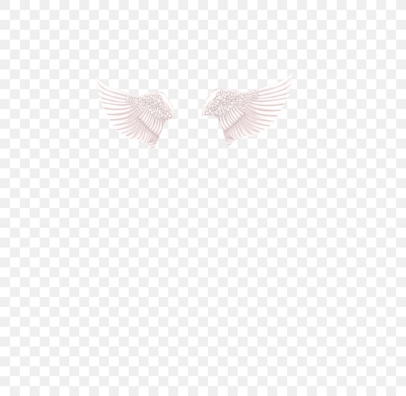 Neck, PNG, 600x800px, Neck, Feather, Wing Download Free