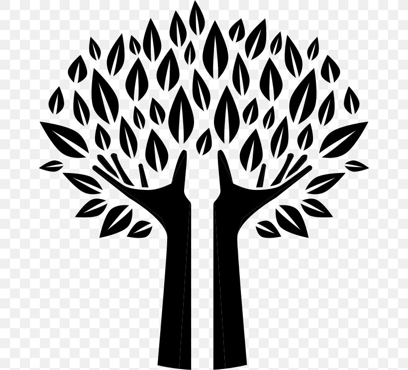 Clip Art Tree, PNG, 666x744px, Tree, Autocad Dxf, Blackandwhite, Botany, Grass Family Download Free