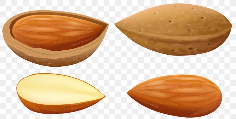 Almond Nut Clip Art, PNG, 6132x3118px, Almond, Drawing, Food, Fruit, Ingredient Download Free