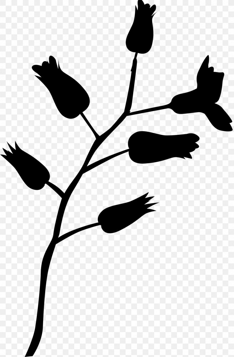 Clip Art Flower Plant Stem Leaf Silhouette, PNG, 1183x1800px, Flower, Art, Beak, Blackandwhite, Botany Download Free