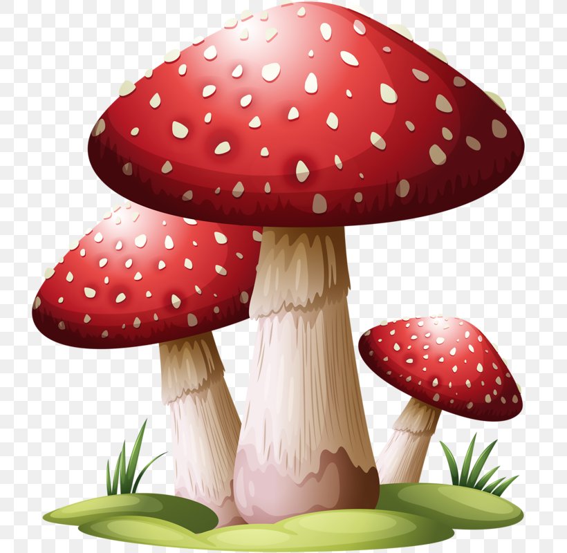 Common Mushroom Puffball, PNG, 747x800px, Mushroom, Basidiospore, Common Mushroom, Drawing, Lamella Download Free