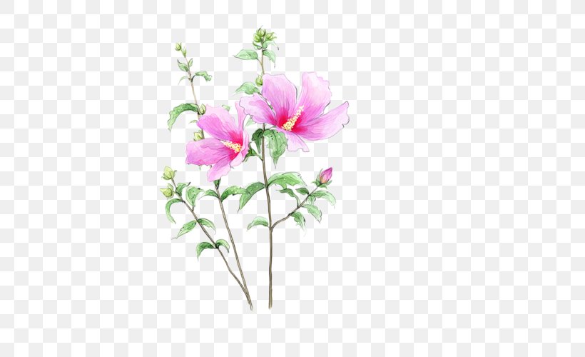 Cut Flowers Drawing, PNG, 500x500px, Flower, Art, Artificial Flower, Blossom, Branch Download Free