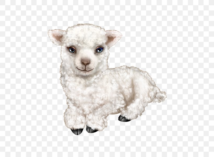 Sheep Stuffed Animals & Cuddly Toys Goat Clip Art Drobnica, PNG, 600x600px, Sheep, Alpaca, Alpaca Fiber, Camelid, Caprinae Download Free
