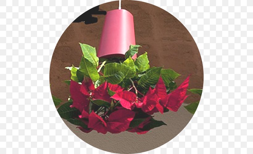 Floral Design Flowerpot Window Box Vase Garden, PNG, 500x500px, Floral Design, Ceiling, Christmas Decoration, Christmas Ornament, Flora Download Free