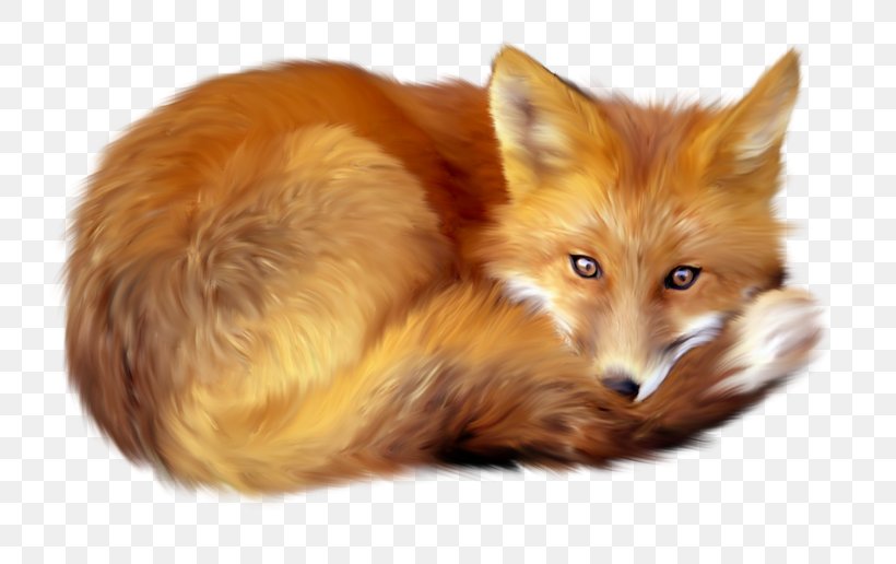 Red Fox Clip Art, PNG, 800x516px, Red Fox, Art, Canidae, Carnivoran, Deviantart Download Free