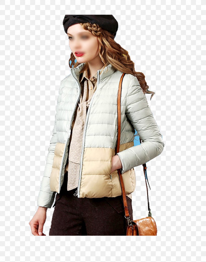 Sleeve Jacket Coat Daunenjacke Winter, PNG, 1613x2053px, Sleeve, Blouson, Clothing, Coat, Collar Download Free