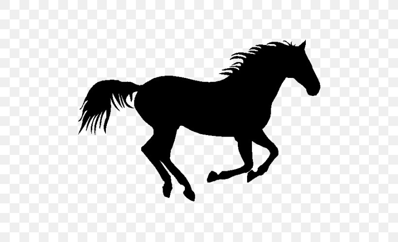 American Quarter Horse Pony Foal Wall Decal, PNG, 500x500px, American Quarter Horse, Black And White, Bridle, Canter And Gallop, Colt Download Free