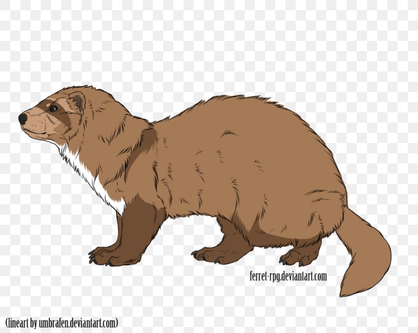 Mustelids Beaver Marmot Whiskers Snout, PNG, 1024x815px, Mustelids, Animal, Animal Figure, Bear, Beaver Download Free