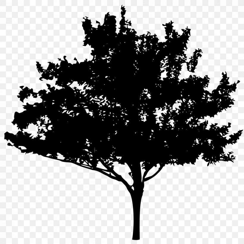 Silhouette Royalty-free, PNG, 1200x1200px, Silhouette, Black And White, Branch, Flowering Plant, Leaf Download Free