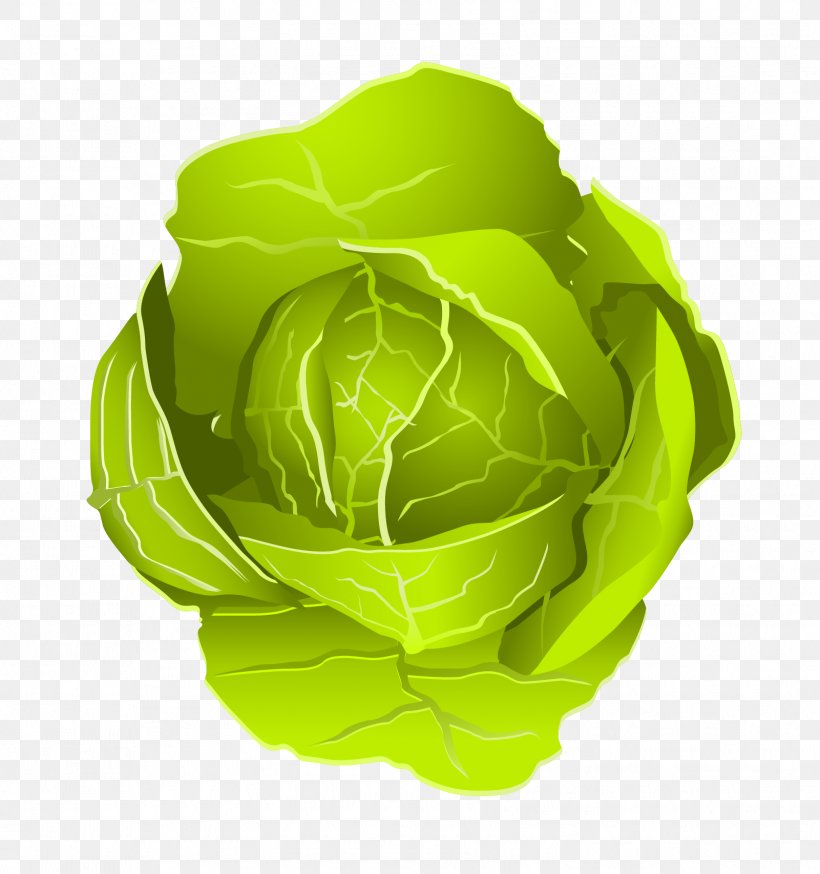 Vegetable Cabbage Illustration, PNG, 1601x1707px, Vegetable, Bell Pepper, Cabbage, Flower, Food Download Free