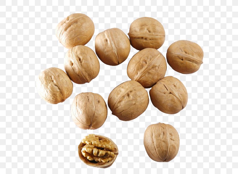 Walnut Food, PNG, 658x600px, Walnut, Auglis, Baking, Cookie, Dried Fruit Download Free