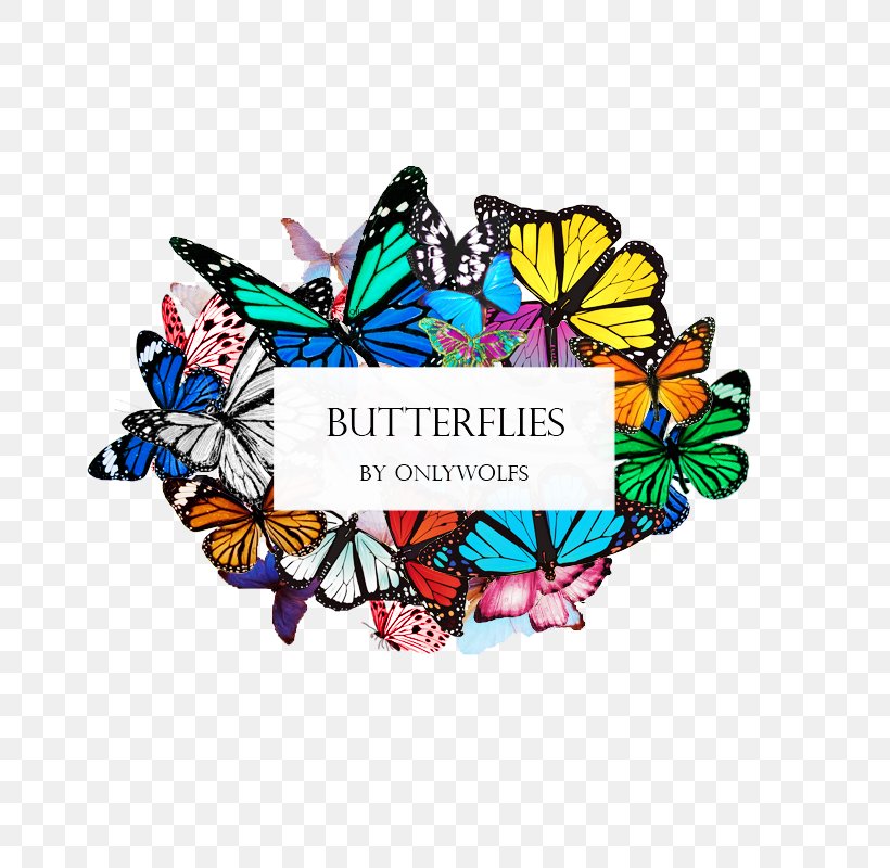 Butterfly DeviantArt, PNG, 800x800px, Butterfly, Butterflies And Moths, Color, Deviantart, Insect Download Free