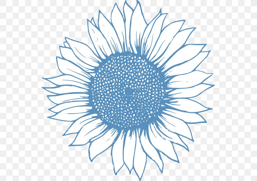 Drawing Image Clip Art Sunflower Sketch, PNG, 553x577px, 2018, Drawing, Blue, Coloring Book, Doodle Download Free