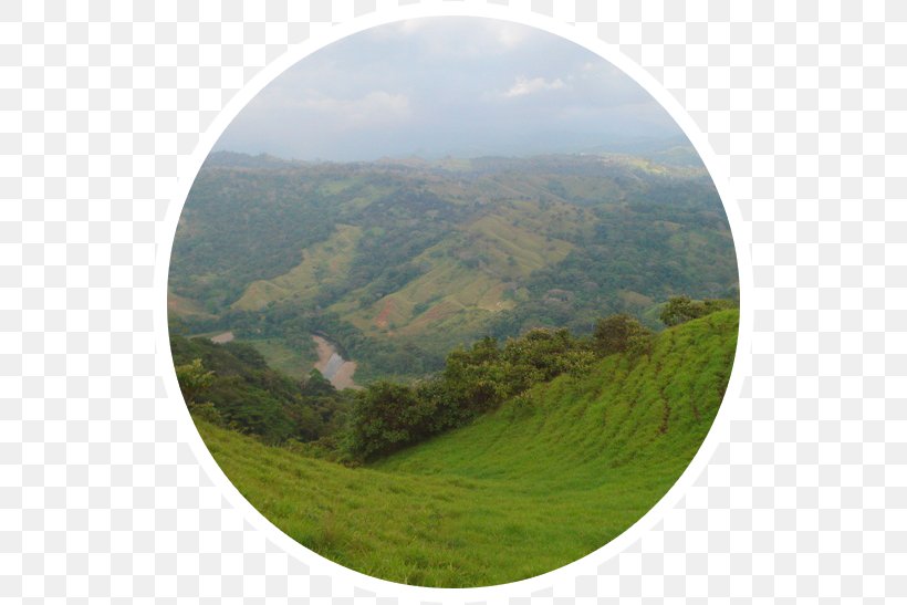 Hill Station Sky Plc, PNG, 562x547px, Hill Station, Fell, Grass, Hill, Landscape Download Free