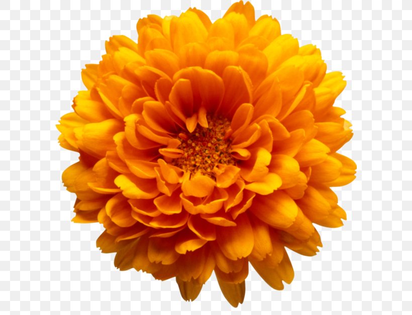 Flower Bouquet Chrysanthemum Artificial Flower Clip Art, PNG, 600x628px, Flower, Annual Plant, Artificial Flower, Calendula, Chrysanthemum Download Free