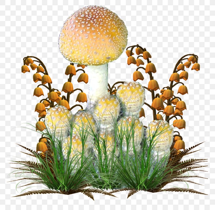Mushroom Leaf Vegetal Autumn Feuille Morte, PNG, 767x800px, Mushroom, Autumn, Blog, Cattail, Dijak Download Free