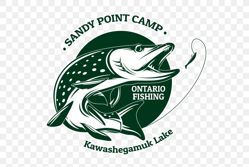 Northern Pike Sandy Point Camp Hunting Fishing Walleye, PNG, 550x550px, Northern Pike, American Black Bear, Amphibian, Bear, Brand Download Free