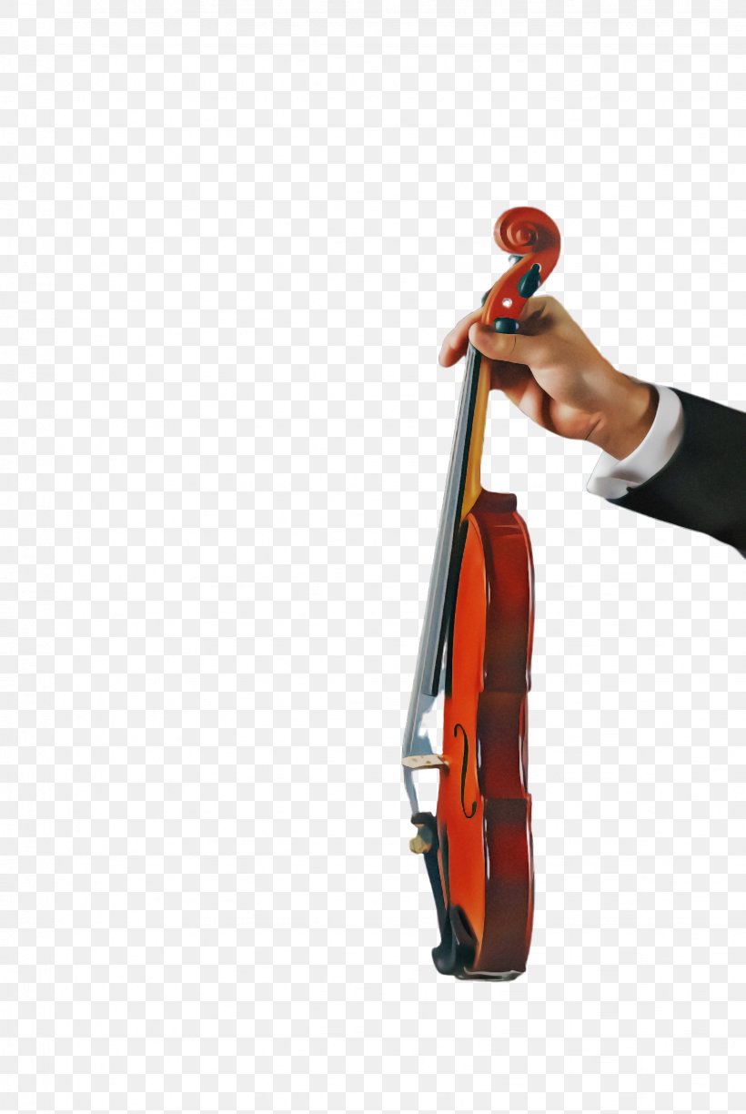 String Instrument Violin Violin Family Musical Instrument String Instrument, PNG, 1636x2444px, String Instrument, Cello, Musical Instrument, Violin, Violin Family Download Free