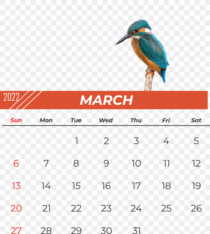 Birds Beak Calendar Font Meter, PNG, 5607x6236px, Birds, Beak, Biology, Calendar, Meter Download Free