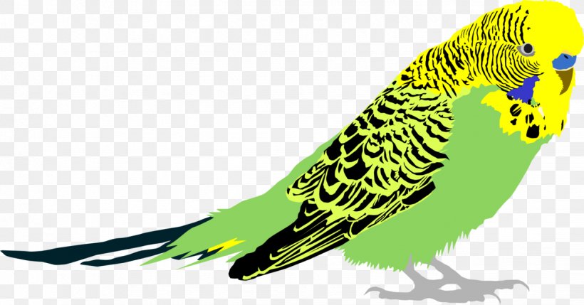 Budgerigar Bird Parakeet Common Myna Macaw, PNG, 1234x647px, Budgerigar, Animal, Art, Beak, Bird Download Free