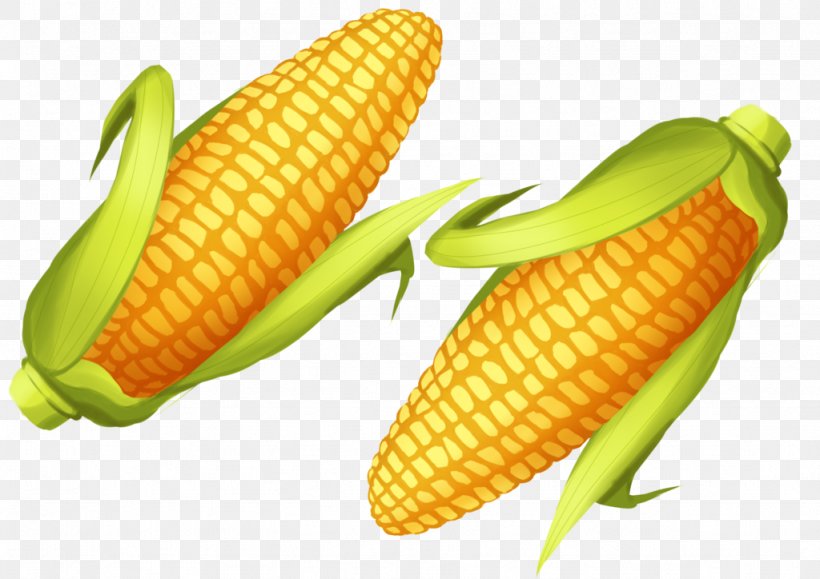 Corn On The Cob Junk Food Sweet Corn Commodity, PNG, 1024x724px, Corn On The Cob, Commodity, Food, Fruit, Ingredient Download Free