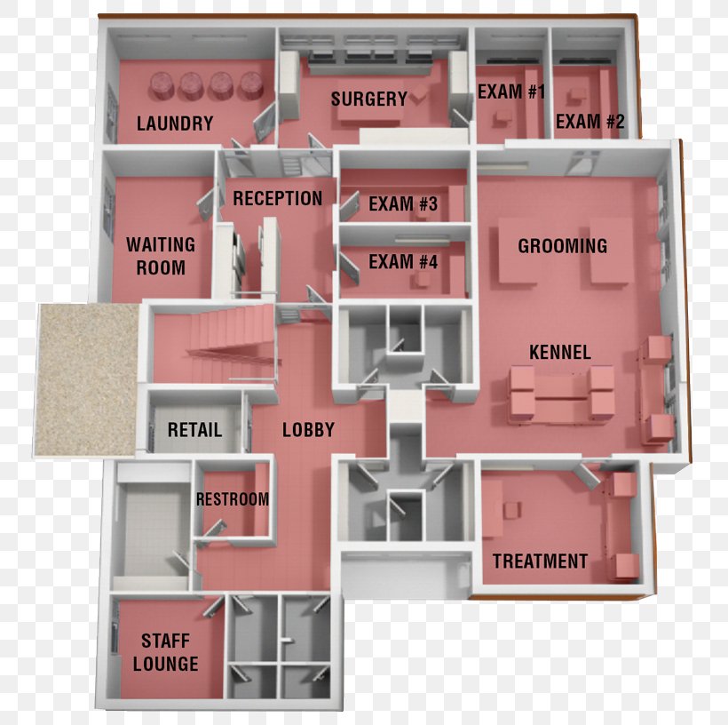 Dog Cat Floor Plan Veterinarian, PNG, 800x816px, Dog, Cat, Cat Litter Trays, Dog Daycare, Dog Grooming Download Free