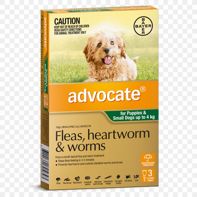 Dog Heartworm Cat Puppy Pet, PNG, 1000x1000px, Dog, Advocate, Cat, Companion Dog, Dog Breed Download Free