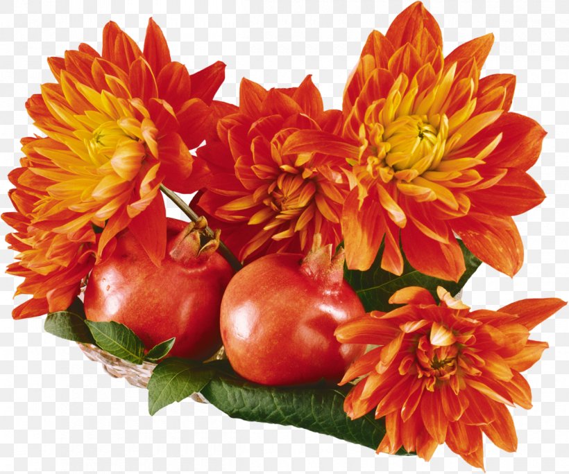 Flower Auglis Autumn, PNG, 1200x1002px, Flower, Animation, Auglis, Autumn, Chrysanths Download Free