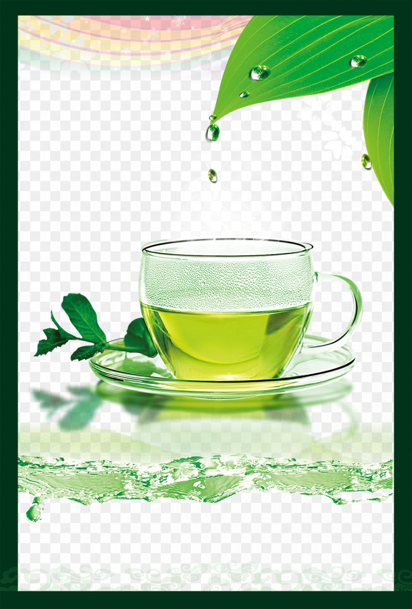 Green Tea Coffee Longjing Tea Teacup, PNG, 1087x1606px, Tea, Camellia Sinensis, Chinese Tea, Coffee, Coffee Cup Download Free