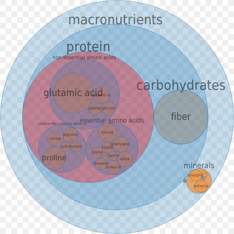 Nutrient Protein Food Low-fat Diet, PNG, 960x960px, Nutrient, Brand, Calorie, Communication, Diagram Download Free