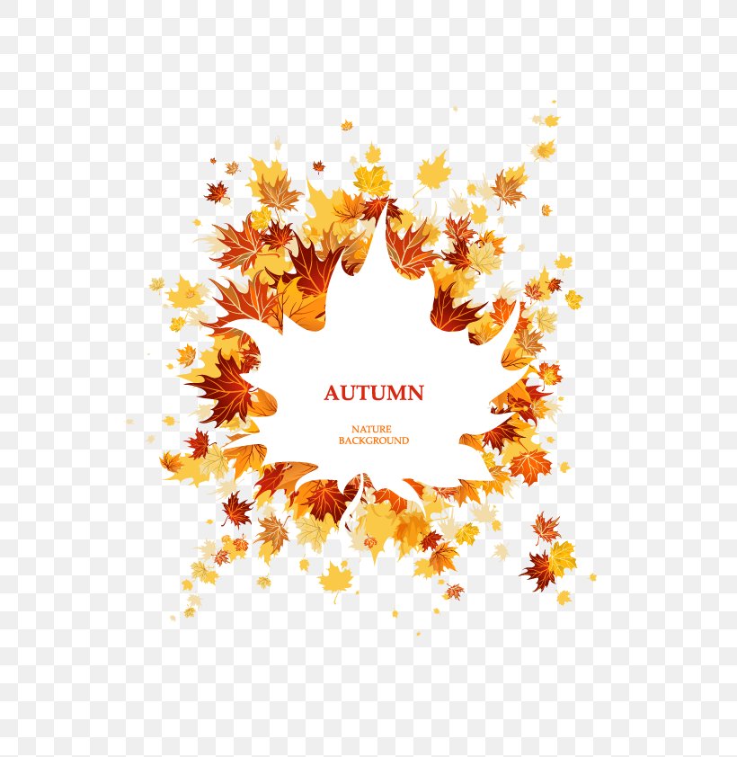 Autumn Leaf Color Maple Leaf, PNG, 596x842px, Autumn, Autumn Leaf Color, Color, Flora, Floral Design Download Free