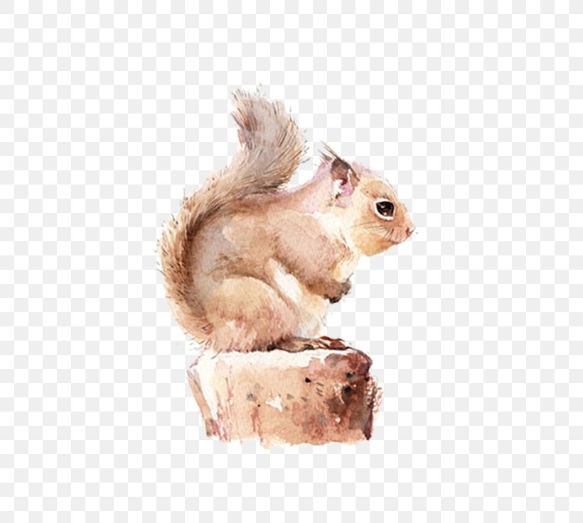 Chipmunk Squirrel Watercolor Painting, PNG, 500x737px, Squirrel, Animal, Apicola Del Alba, Chipmunk, Creative Work Download Free