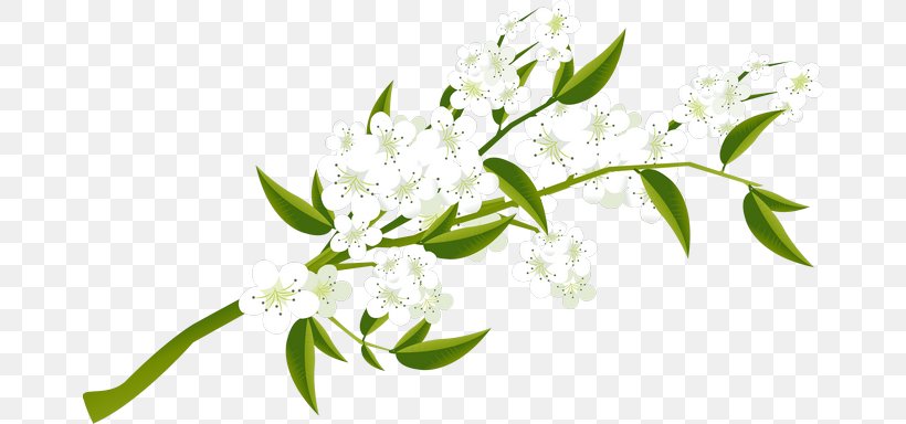 Download Icon, PNG, 670x384px, Rar, Blossom, Branch, Flora, Floral Design Download Free