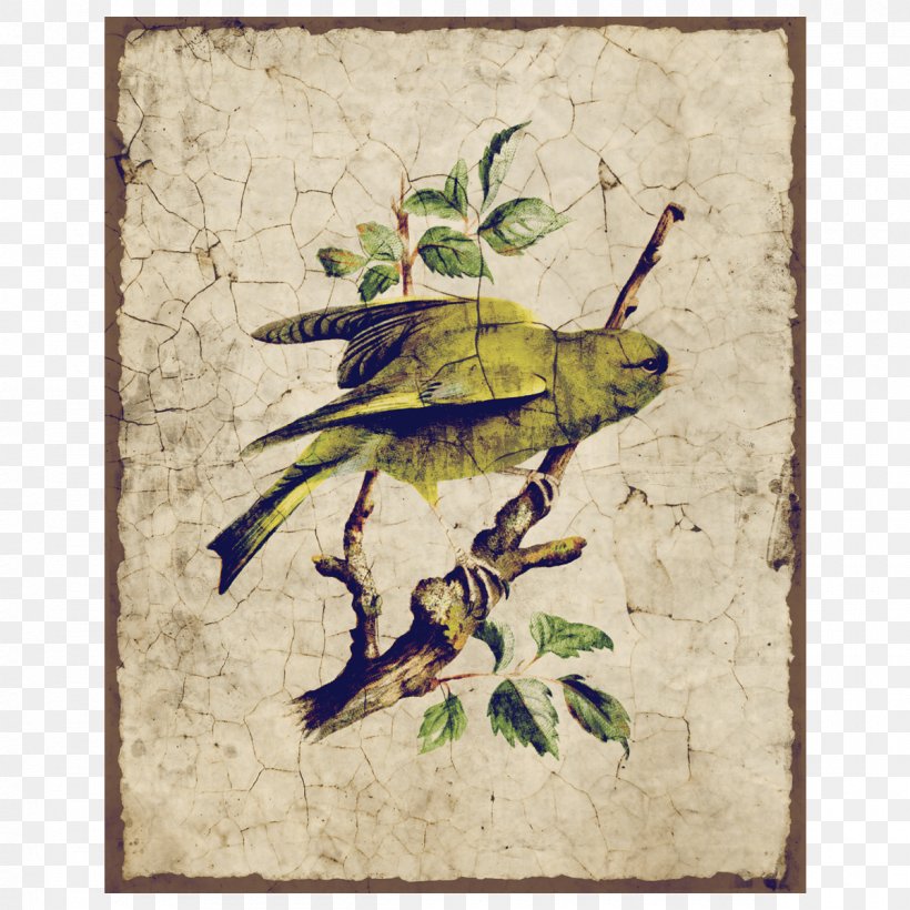 European Greenfinch Bird Carduelis, PNG, 1200x1200px, Finch, Art, Beak, Bird, Bird Nest Download Free