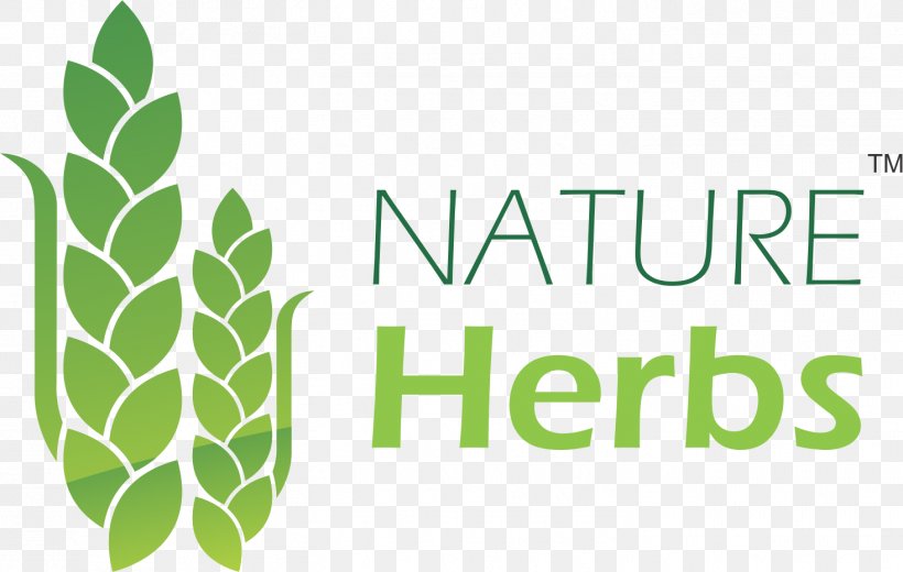 Nature Herbs Leaf Seed Food, PNG, 1467x932px, Herb, Apium, Brand, Carminative, Embelia Ribes Download Free