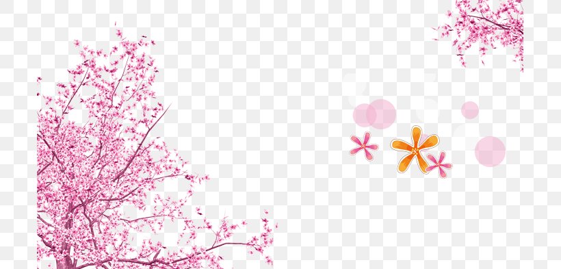 Pink Cherry Blossom Wallpaper, PNG, 711x393px, Pink, Blossom, Branch, Cherry Blossom, Color Download Free