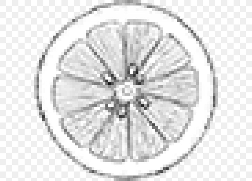 Bicycle Wheels Spoke Rim Alloy Wheel NSE:NUCLEUS, PNG, 600x591px, Bicycle Wheels, Alloy, Alloy Wheel, Bicycle, Bicycle Part Download Free