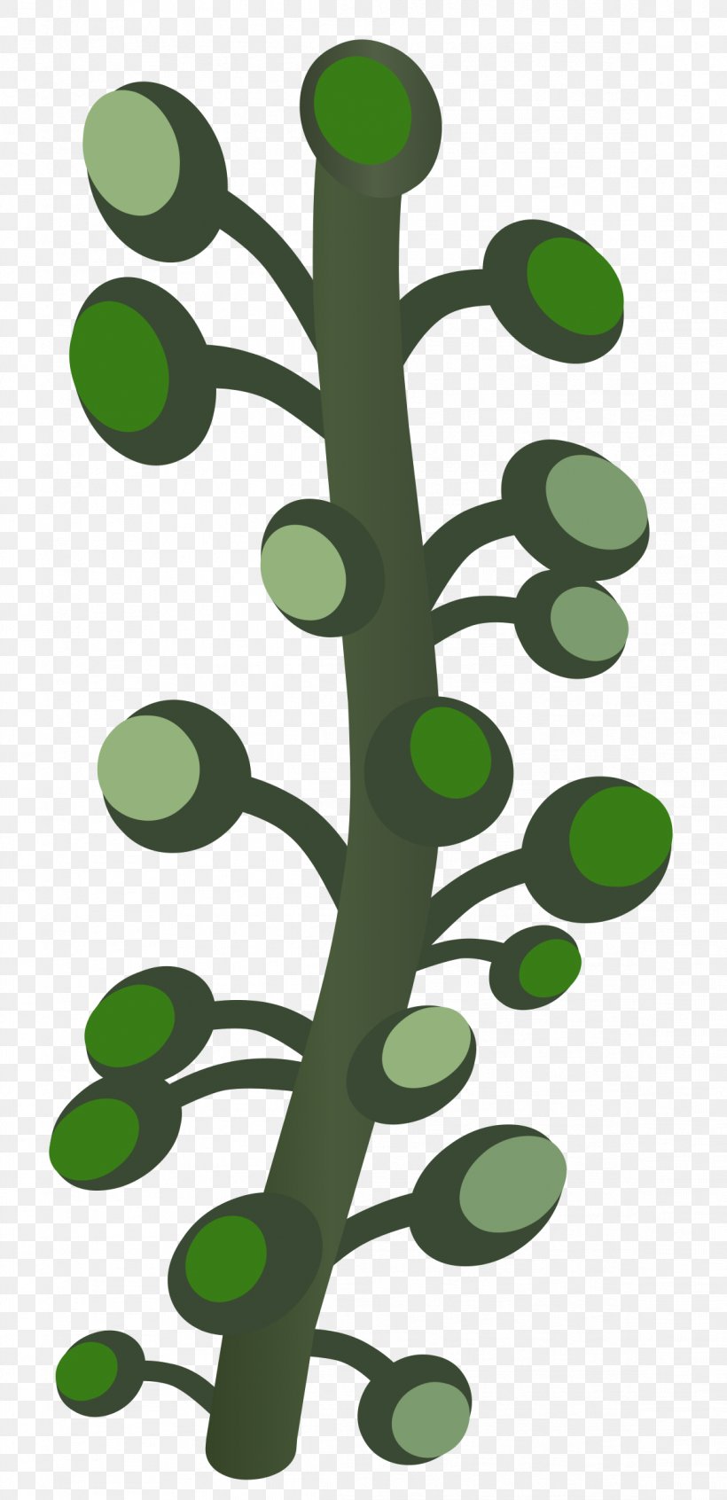 Clip Art, PNG, 1163x2400px, Public Domain, Branch, Grass, Green, Leaf Download Free