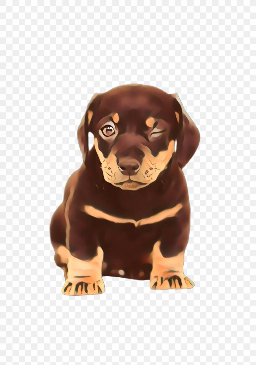 Cute Cartoon, PNG, 1675x2388px, Cute Dog, Animal, Breed, Brown, Canidae Download Free