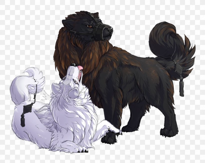 Dog Breed Newfoundland Dog Sporting Group Snout, PNG, 900x717px, Dog Breed, Breed, Carnivoran, Crossbreed, Dog Download Free