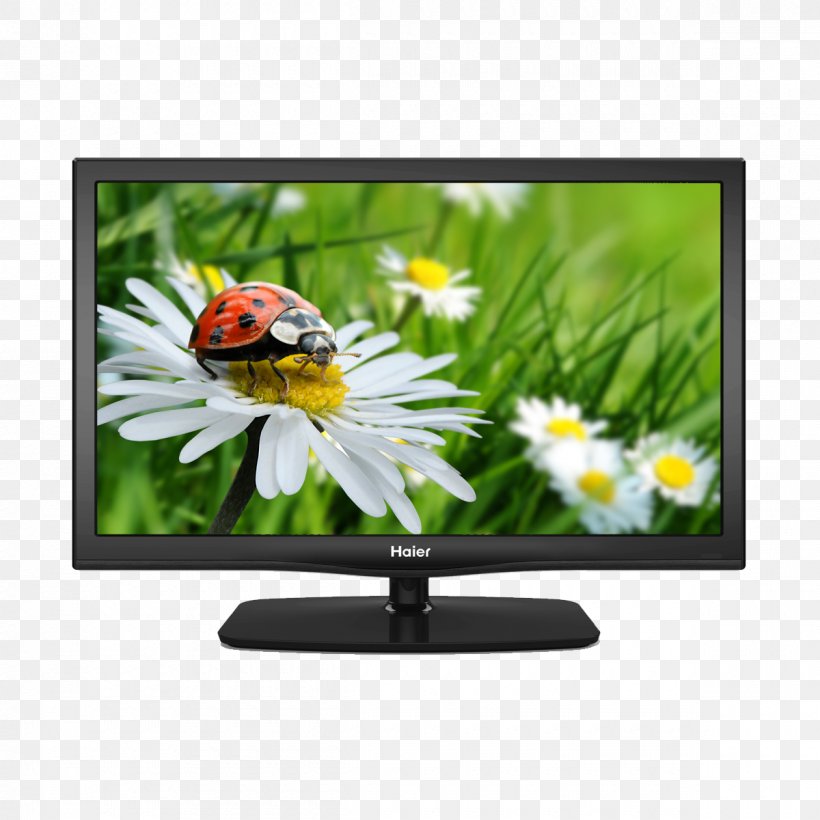 LED-backlit LCD 1080p High-definition Television Haier, PNG, 1200x1200px, Ledbacklit Lcd, Computer Monitor, Display Device, Flat Panel Display, Haier Download Free
