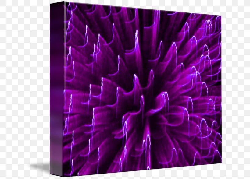 Gallery Wrap Canvas Art Dahlia Purple, PNG, 650x588px, Gallery Wrap, Art, Canvas, Dahlia, Fire Download Free