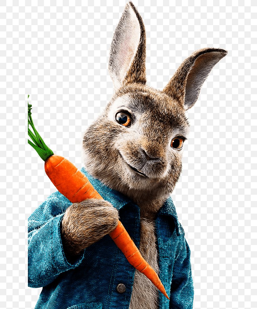 The Tale Of Peter Rabbit Mr. McGregor Meet Peter Rabbit Cinema Film, PNG, 641x984px, Tale Of Peter Rabbit, Cinema, Domestic Rabbit, Easter Bunny, Ezra Koenig Download Free