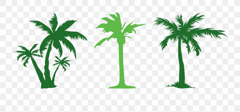 Tree Evergreen Arecaceae Clip Art, PNG, 1500x700px, Tree, Arecaceae, Arecales, Branch, Deciduous Download Free