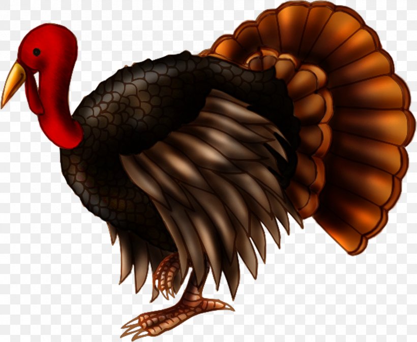 Turkey Phasianidae Drawing Desktop Wallpaper Clip Art, PNG, 1800x1480px, Turkey, Animation, Beak, Bird, Cartoon Download Free