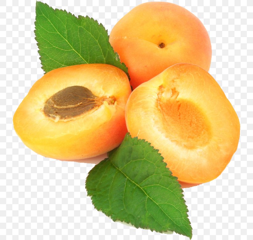 Apricot Kernel Apricot Oil Fruit, PNG, 738x776px, Apricot, Amygdalin, Apricot Kernel, Apricot Oil, Diet Food Download Free
