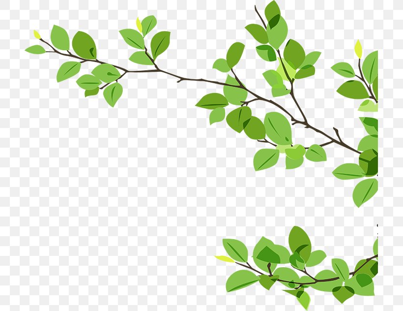 Branch Twig Clip Art, PNG, 719x632px, Branch, Flowering Plant, Grass, Green, Leaf Download Free